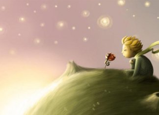 O amor acaba quando você deixa de cuidar