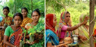 Toda vez que uma menina nasce, mulheres de aldeia na Índia plantam 111 árvores