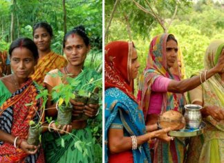Toda vez que uma menina nasce, mulheres de aldeia na Índia plantam 111 árvores