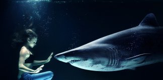 Não perca o seu tempo com pessoas rasas. A vida permite mergulhos profundos.