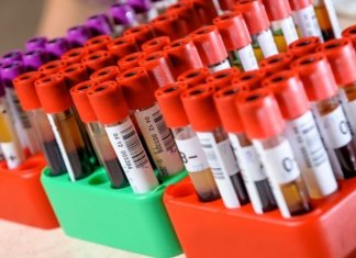 Cientistas criam tipo sanguíneo universal que pode salvar a vida de milhares de pessoas