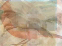 Qual animal você vê?