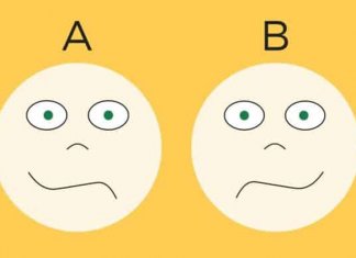 Qual lado do seu cérebro domina sua personalidade?!