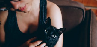 Like não é afeto, seguir de volta não é amizade