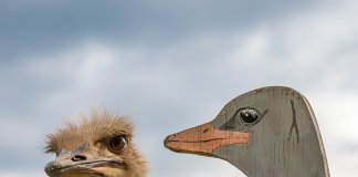 “Toda mentira é um veneno; não há mentiras inofensivas…”