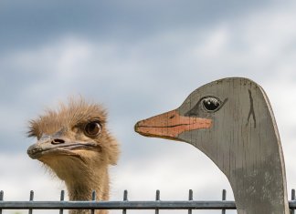 “Toda mentira é um veneno; não há mentiras inofensivas…”