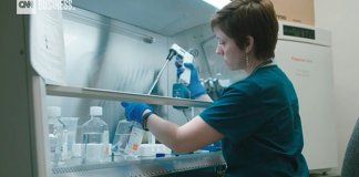 Vacina contra o câncer poderá ser testada em humanos