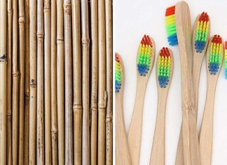 Combate à poluição plástica: Empresa fabrica e distribui gratuitamente escovas de dente de bambu
