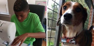 Menino costura lindos laços para ajudar cães e gatos abandonados a serem adotados Menino costura lindos laços para ajudar cães e gatos abandonados a serem adotados