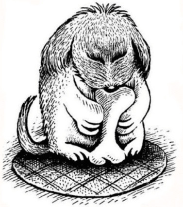 contioutra.com - Apenas 1% das pessoas conseguem encontrar o cachorro escondido nessa imagem