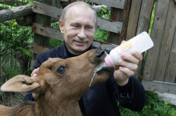 contioutra.com - Vladimir Putin assina lei que pro&iacute;be crueldade com animais na R&uacute;ssia
