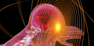 Uso do celular está mudando o formato do crânio humano, diz estudo