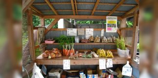 Japoneses criam “lojas sem vendedores”. Eles testam a honestidade de seus clientes