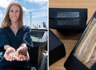 Jovem cria um novo tipo de plástico com resíduos e algas. Seria a solução contra a poluição?