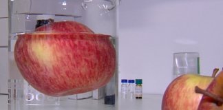 Consumimos mais agrotóxicos do que sabíamos! Pesquisa conclui que agrotóxico penetra além da casca da maçã