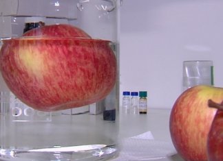 Consumimos mais agrotóxicos do que sabíamos! Pesquisa conclui que agrotóxico penetra além da casca da maçã