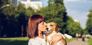 Quando tudo falhar… abrace seu cachorro