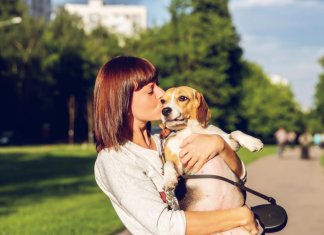 Quando tudo falhar… abrace seu cachorro