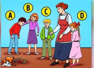 Teste: Quem quebrou o vaso? O que você responder revelará detalhes sobre a sua verdadeira essência