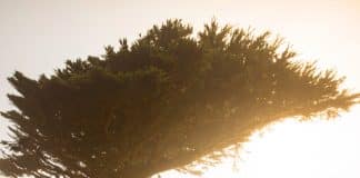 Tudo que alguém tirar indevidamente de você, o Universo dará um jeito de te devolver