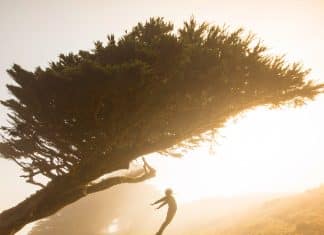 Tudo que alguém tirar indevidamente de você, o Universo dará um jeito de te devolver