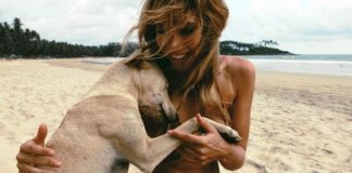 Ter animais de estimação melhoraria a saúde mental das pessoas