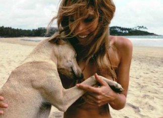 Ter animais de estimação melhoraria a saúde mental das pessoas