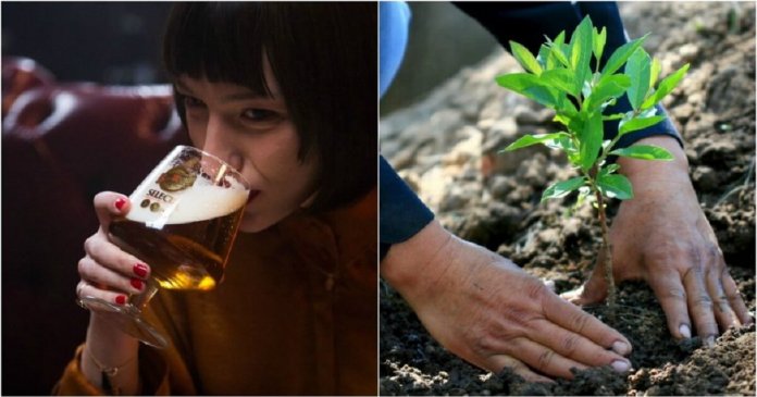Cervejaria na Espanha planta uma árvore toda vez que alguém acessa seu site