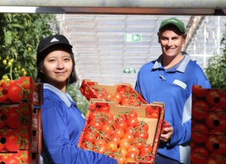 Fazenda solar produz 17.000 toneladas de alimentos sem agrotóxicos e sem agredir o solo