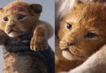 10 razões e curiosidades de O REI LEÃO que te levarão para o cinema ainda essa semana 10 razões e curiosidades de O REI LEÃO que te levarão para o cinema ainda essa semana