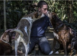 Abrigo no RJ só contrata pessoas sem-teto que amam animais