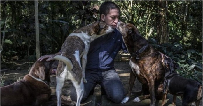 Abrigo no RJ só contrata pessoas sem-teto que amam animais