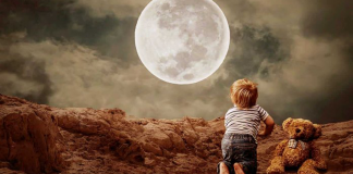 A velhice começa quando perdemos nossa curiosidade