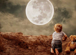 A velhice começa quando perdemos nossa curiosidade