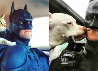 Batman da vida real salva animais de serem sacrificados em abrigos
