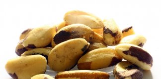 Comer apenas 2 Castanhas-do-Pará pode ajudar a prevenir câncer, ansiedade, depressão e ataque cardíaco