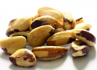 Comer apenas 2 Castanhas-do-Pará pode ajudar a prevenir câncer, ansiedade, depressão e ataque cardíaco