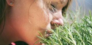 Como usar o alecrim para encher seu corpo e mente com energia