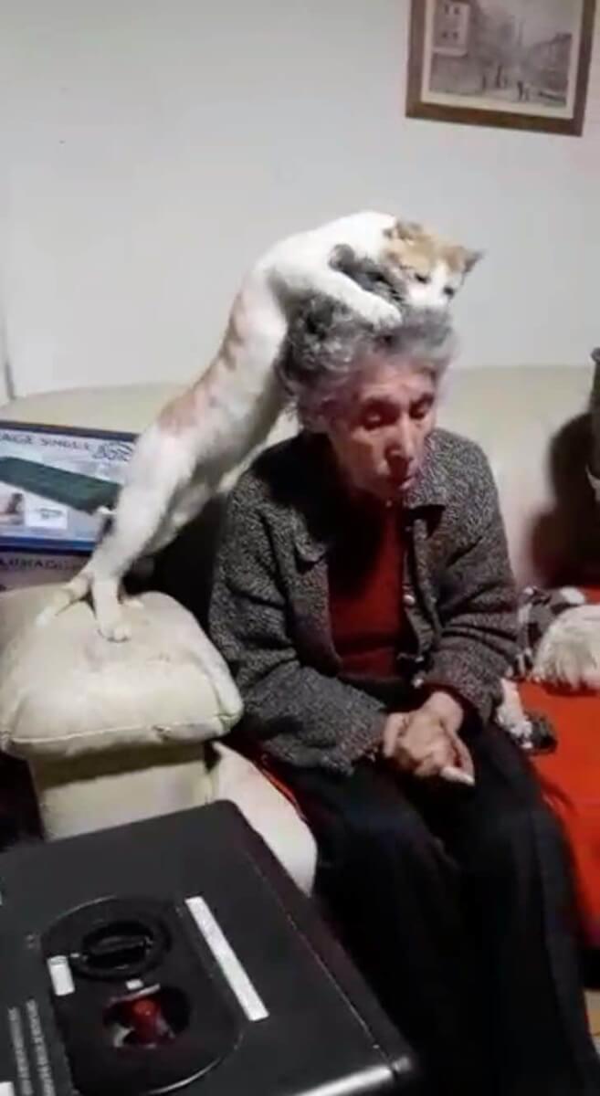 contioutra.com - Idosa foi diagnosticada com demência e o seu gato não para de lhe acariciar a cabeça