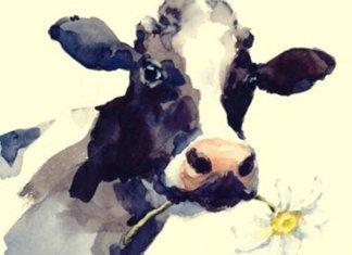 O conto da vaca, quando a rotina nos limita