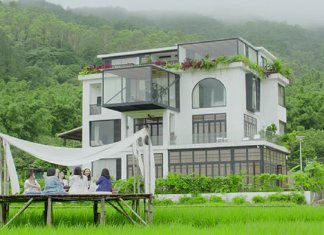 7 amigas decidem comprar uma casa e passar o resto de suas vidas juntas