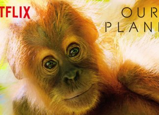 Recomendação do Dia: “O Nosso Planeta”, minissérie documental.