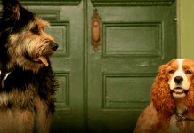 Cães do live-action de “A Dama e o Vagabundo” foram encontrados em abrigos.