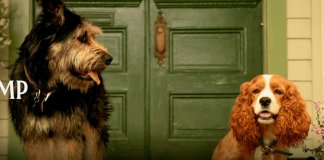 Cães do live-action de “A Dama e o Vagabundo” foram encontrados em abrigos.
