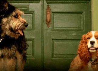Cães do live-action de “A Dama e o Vagabundo” foram encontrados em abrigos.