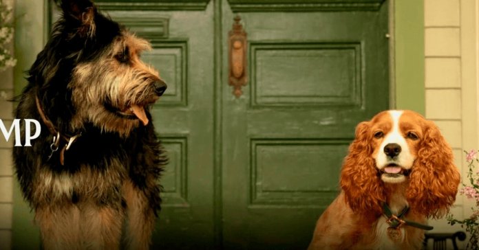 Cães do live-action de “A Dama e o Vagabundo” foram encontrados em abrigos.