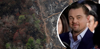Após doar 5 milhões à Amazônia, Leonardo DiCaprio pede ação de governos contra a tragédia.