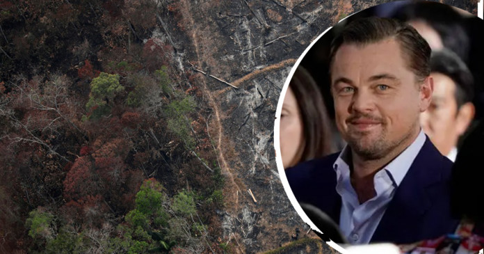 Após doar 5 milhões à Amazônia, Leonardo DiCaprio pede ação de governos contra a tragédia.