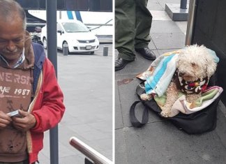 Vovô vende chicletes na rua para alimentar seu cachorrinho