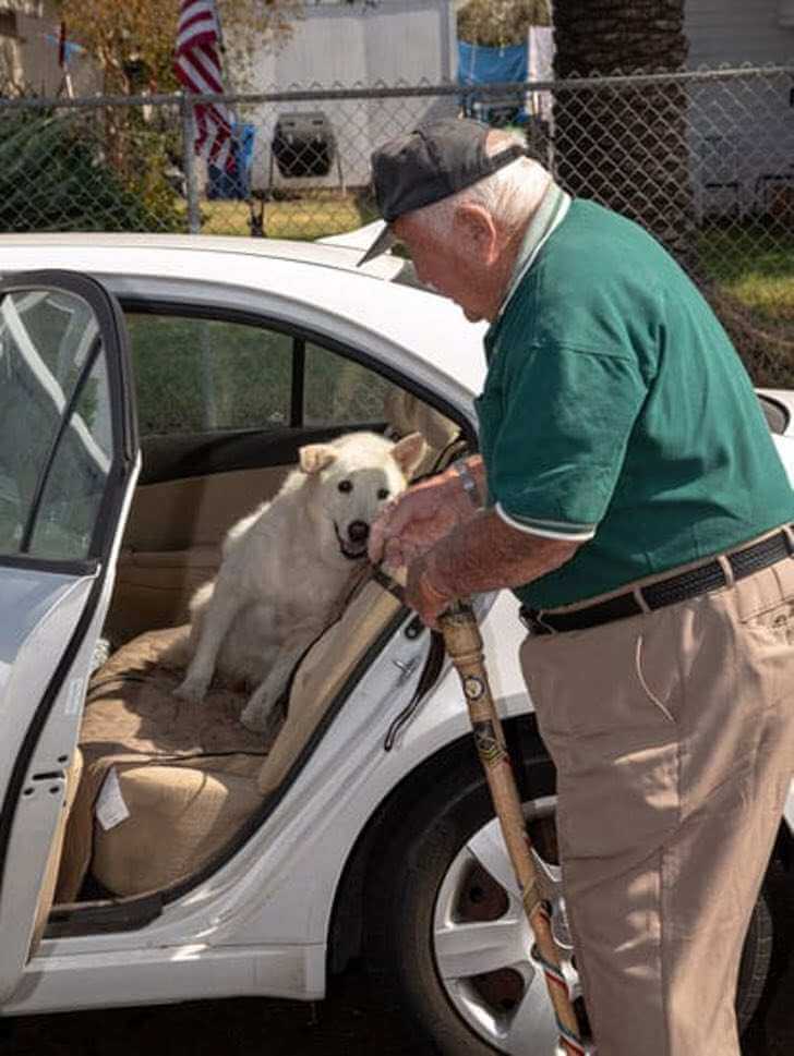 contioutra.com - Cãozinho idoso seria sacrificado porque ninguém quis adotá-lo, mas vovô de 93 anos o resgatou